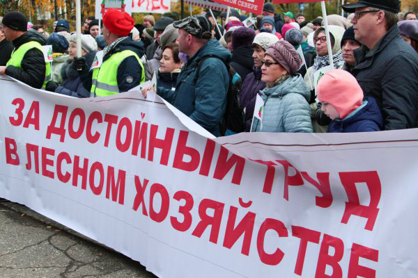 Митинг посвятили лесному хозяйству