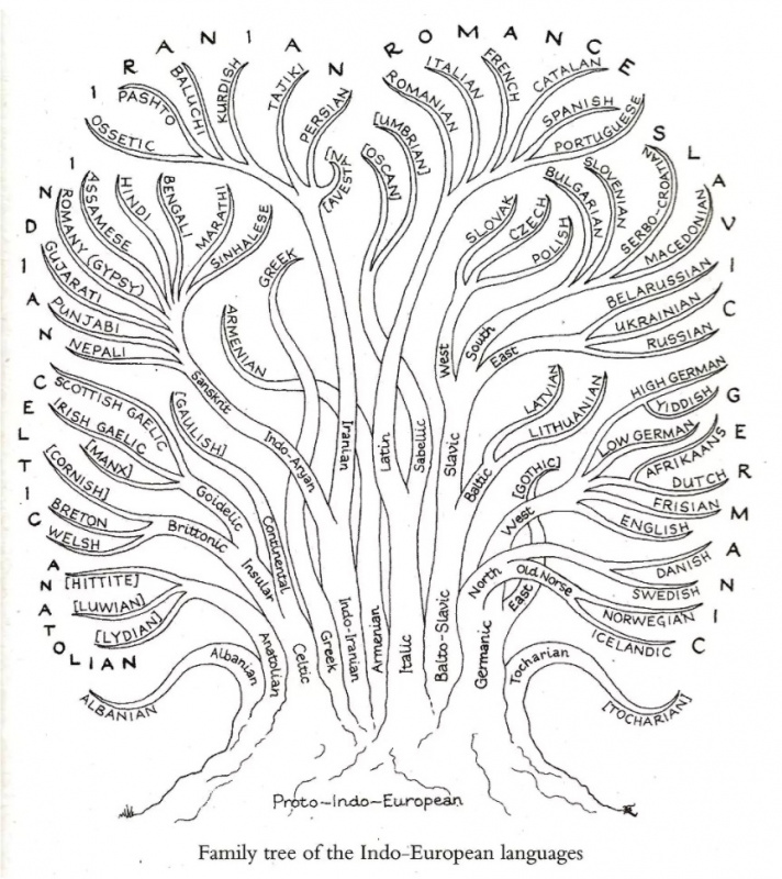 Почему некоторые языки труднее выучить, чем другие