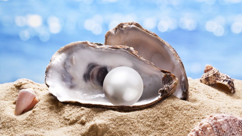 Как устрицы производят жемчуг