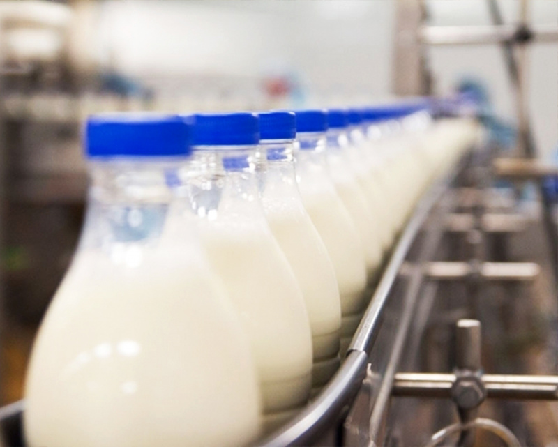 Выявлены поставки фальсифицированной молочной продукции в социальные учреждения