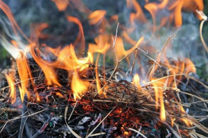 В период со 2 по 4 июня в республике ожидается высокая и чрезвычайно высокая пожароопасность